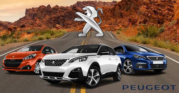 How To Reset Peugeot 2008 Service Light Spanner Warning Indicator