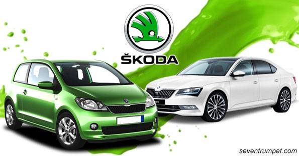 2011-2015 Skoda Roomster Service Minder Oil Change Light Reset Guide